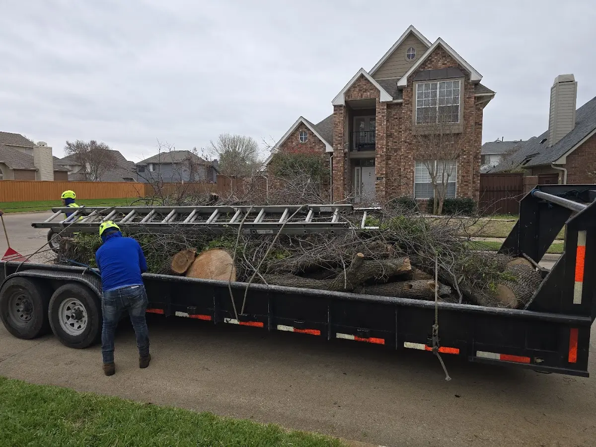 Expert Tree Fertilization with proper safety equipment in Richardton